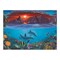 PAL20 | Painting by numbers™ 13pc 11.25" x 13.375" Ocean Life Painting Project